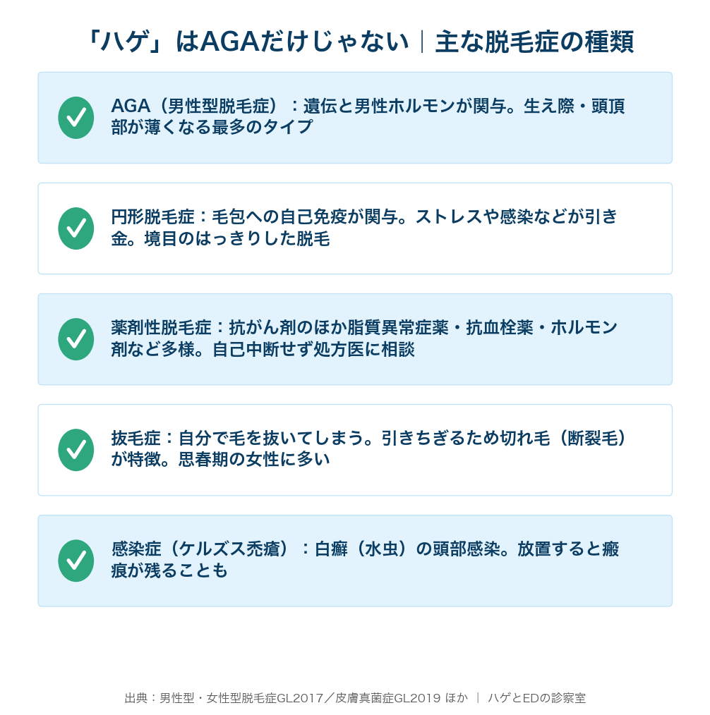 AGA・円形脱毛症・薬剤性・抜毛症・感染症（ケルズス禿瘡）