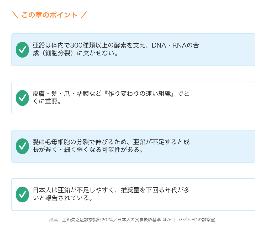 300種以上の酵素・DNA合成→作り変わりの速い組織(皮膚・髪・爪)で重要