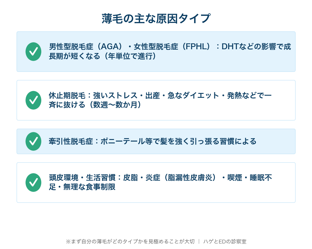 AGA/FPHL・休止期脱毛・牽引性脱毛・頭皮環境/生活習慣