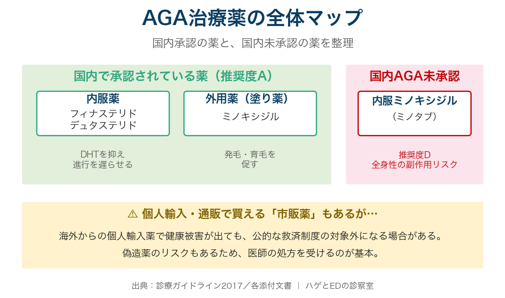 国内承認（内服フィナ/デュタ・外用ミノキ）と未承認（内服ミノキ）