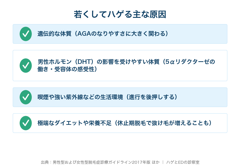 遺伝・男性ホルモン感受性・喫煙/紫外線・極端なダイエット