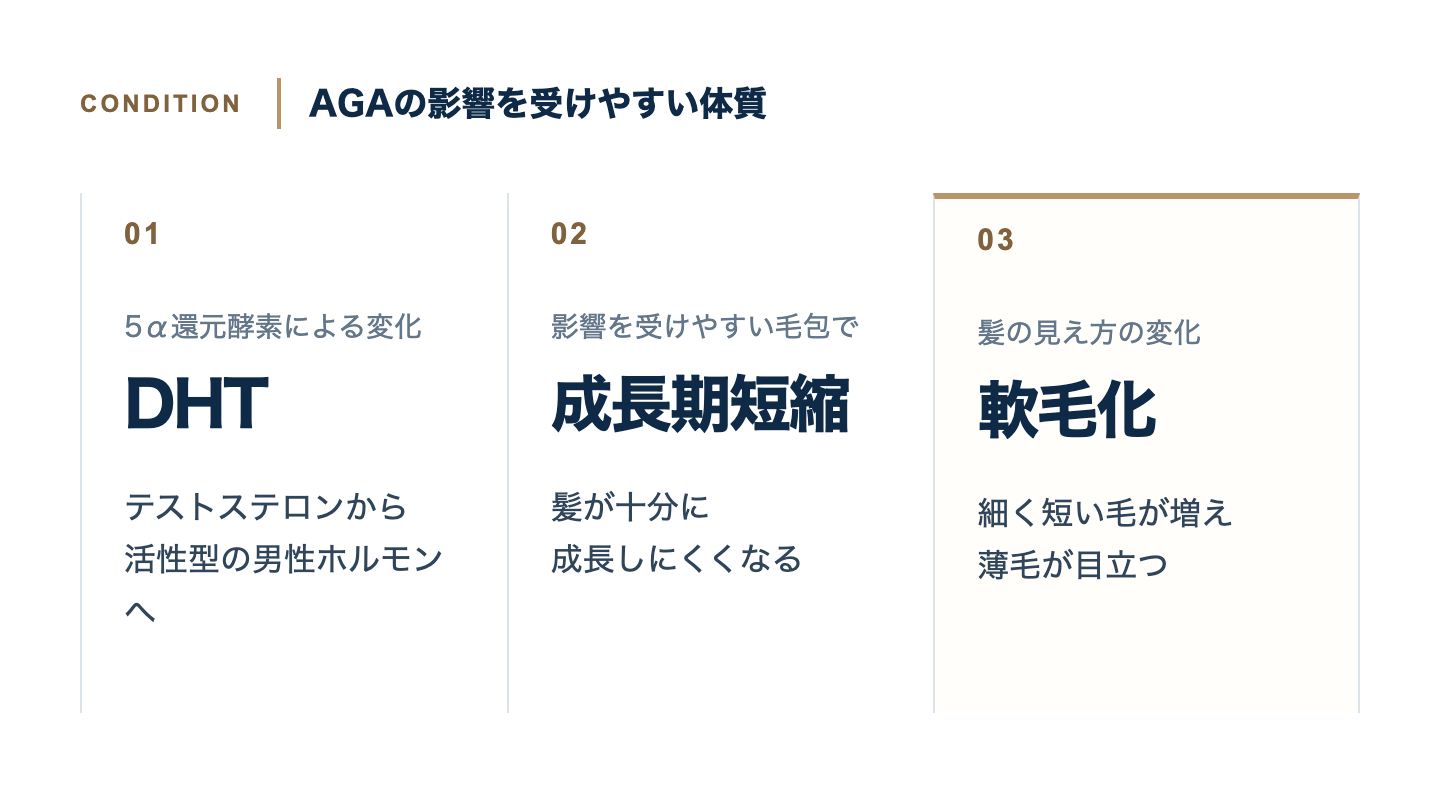 遺伝的体質→テストステロンがDHTに変化→成長期短縮→軟毛化。生活習慣が上乗せ
