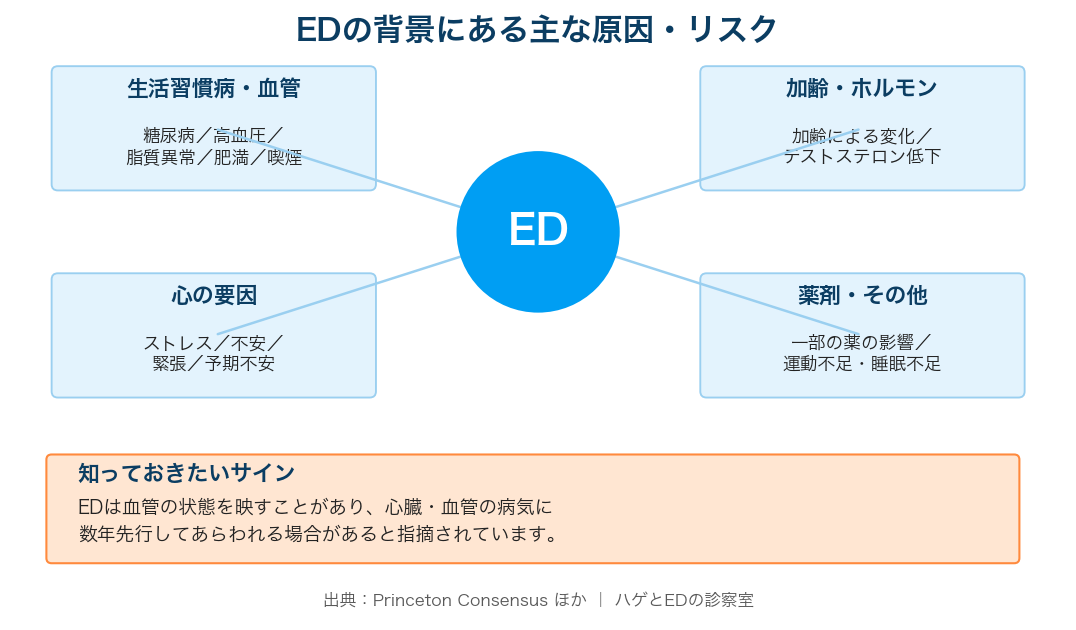 EDの原因・リスク因子のマップと心血管サインの図解